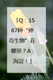 Q：1567种“神奇生物”在哪里？A：海淀！